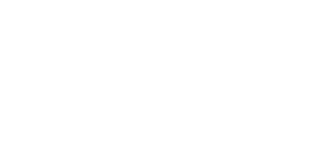 Validator 10