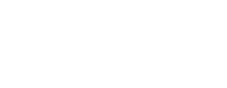 Validator 18