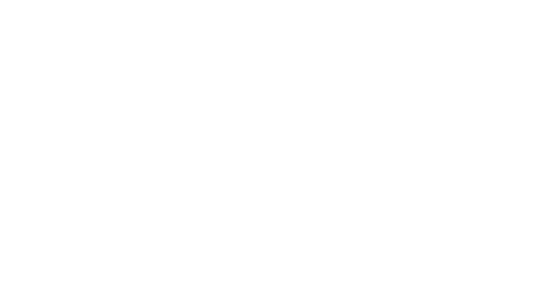 Validator 19